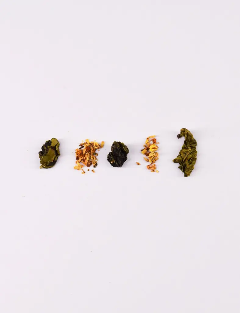 OSMANTUS OOLONG FOTO DETALLE.webp