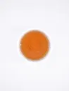 BANCHA DE KYOTO_01.webp