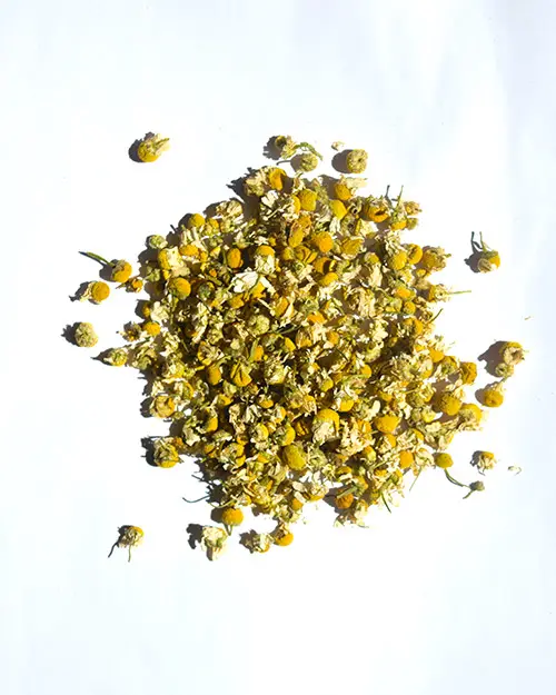 [TSK703WH] MANZANILLA - 125G