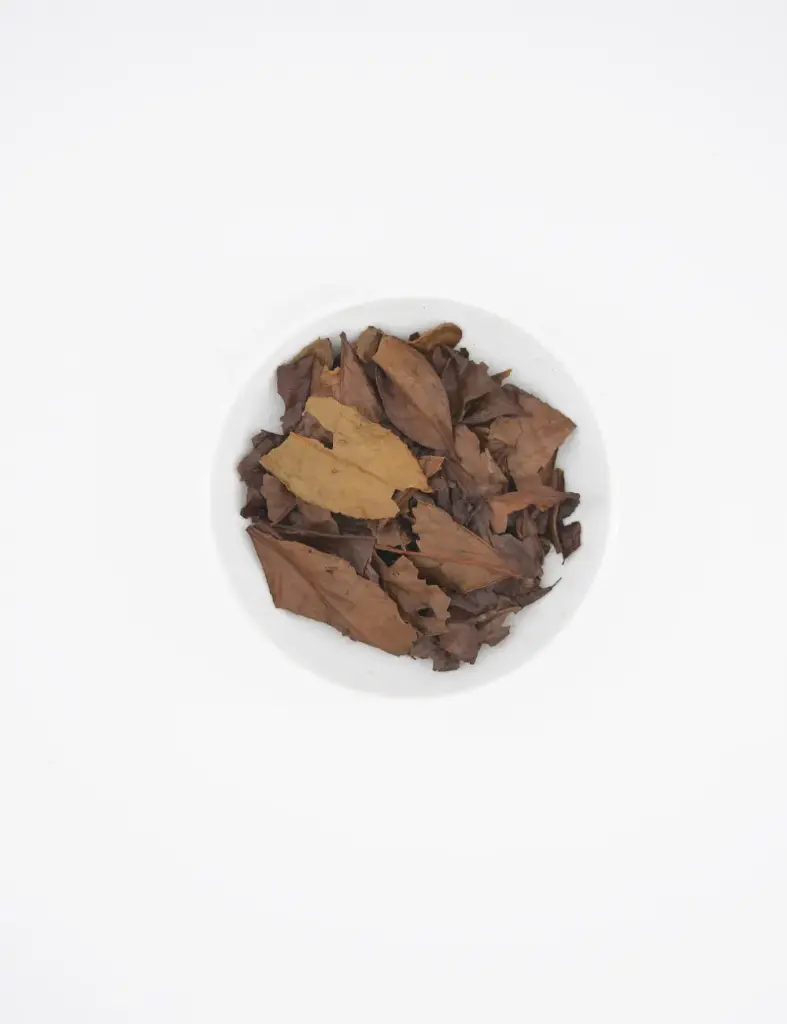 [TSK207WH] BANCHA DE KYOTO - 125G