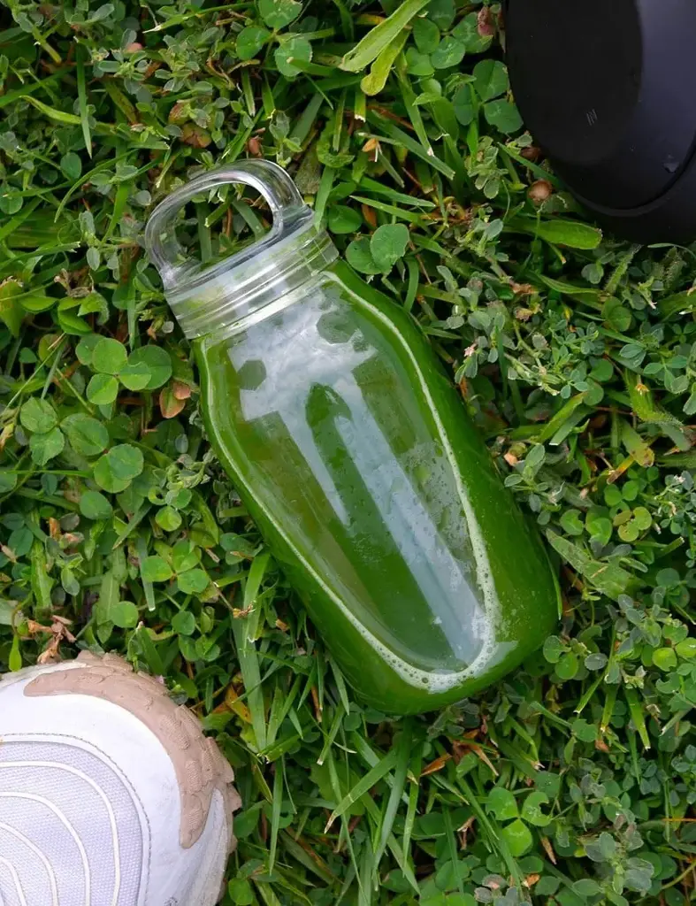 BOTELLA MATCHA TO GO 300ML