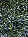 GYOKURO SAEMIDORI - 100G